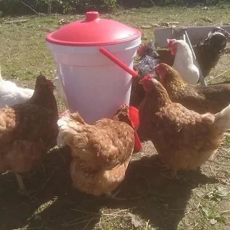 Ostseeblick Im Andersenhof Appartement