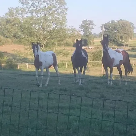 Ostseeblick Im Andersenhof Appartement