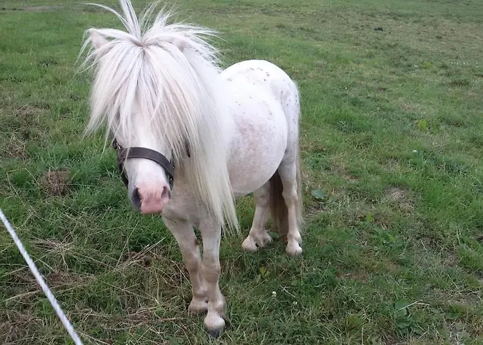 Apartamento Ostseeblick Im Andersenhof Kappeln