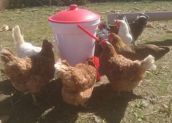 Ostseeblick Im Andersenhof شقة