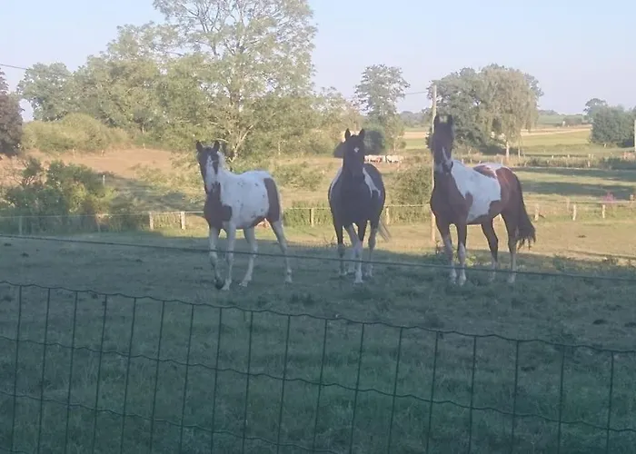 Ostseeblick Im Andersenhof Apartamento