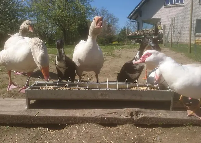 Apartamento Ostseeblick Im Andersenhof *